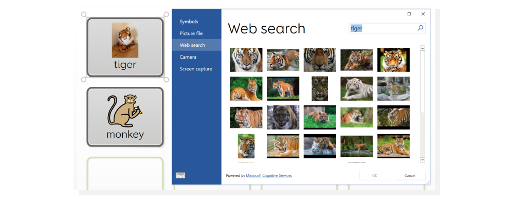 Grid 3's in-built picture web search.